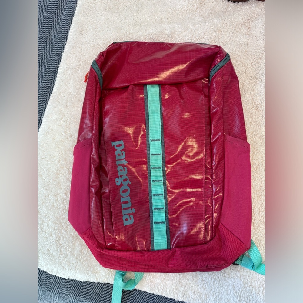 Patagonia Black Hole 25L Backpack